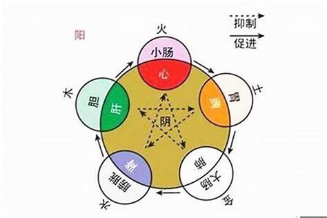 然 五行|然到底是什么属性，有人说属金，有人说属火，有人说属土，难道。